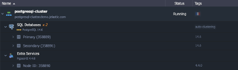 Image 9: PostgreSQL cluster environment