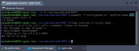Image 37: nginx ruby start puma application server via ssh