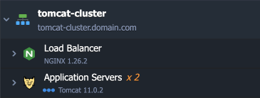 Image 40: Tomcat cluster created