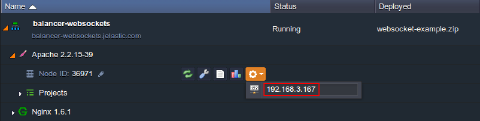 Image 49: application server IP