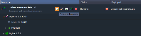 Image 56: open application in browser
