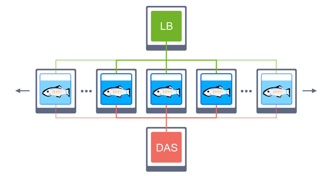 Ruk-Com Cloud PaaS procedure screenshot