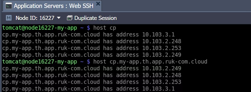 Ruk-Com Cloud PaaS procedure screenshot