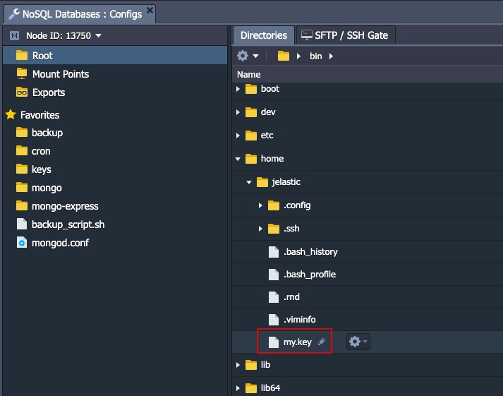 Ruk-Com Cloud PaaS procedure screenshot