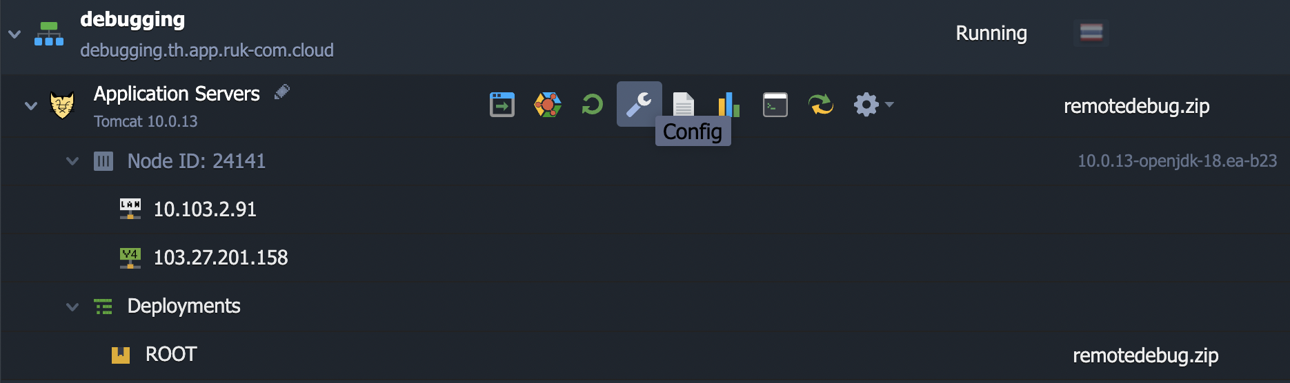 Ruk-Com Cloud PaaS procedure screenshot