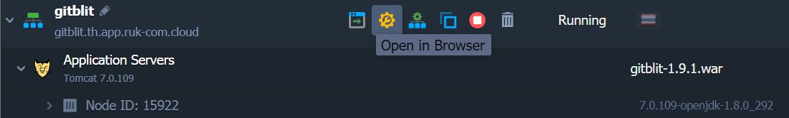 Ruk-Com Cloud PaaS procedure screenshot