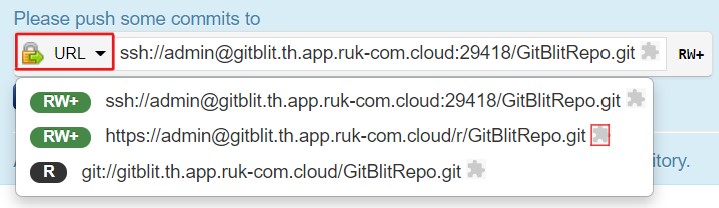 Ruk-Com Cloud PaaS procedure screenshot