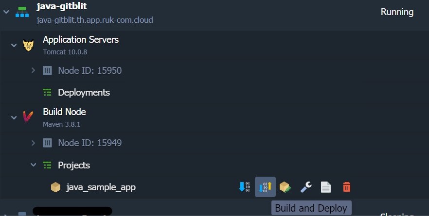 Ruk-Com Cloud PaaS procedure screenshot