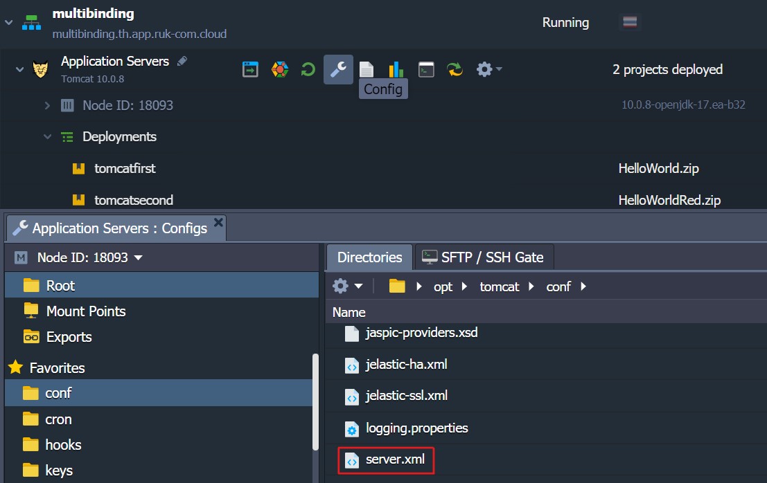 Ruk-Com Cloud PaaS procedure screenshot