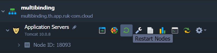 Ruk-Com Cloud PaaS procedure screenshot